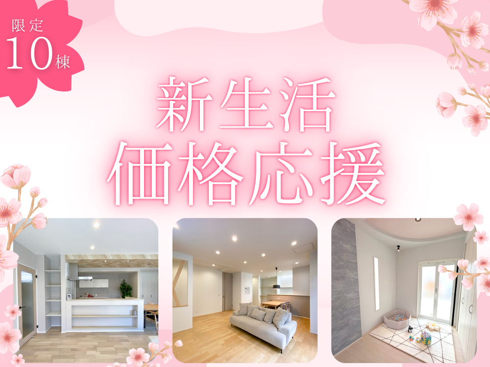 ピックアップ特集