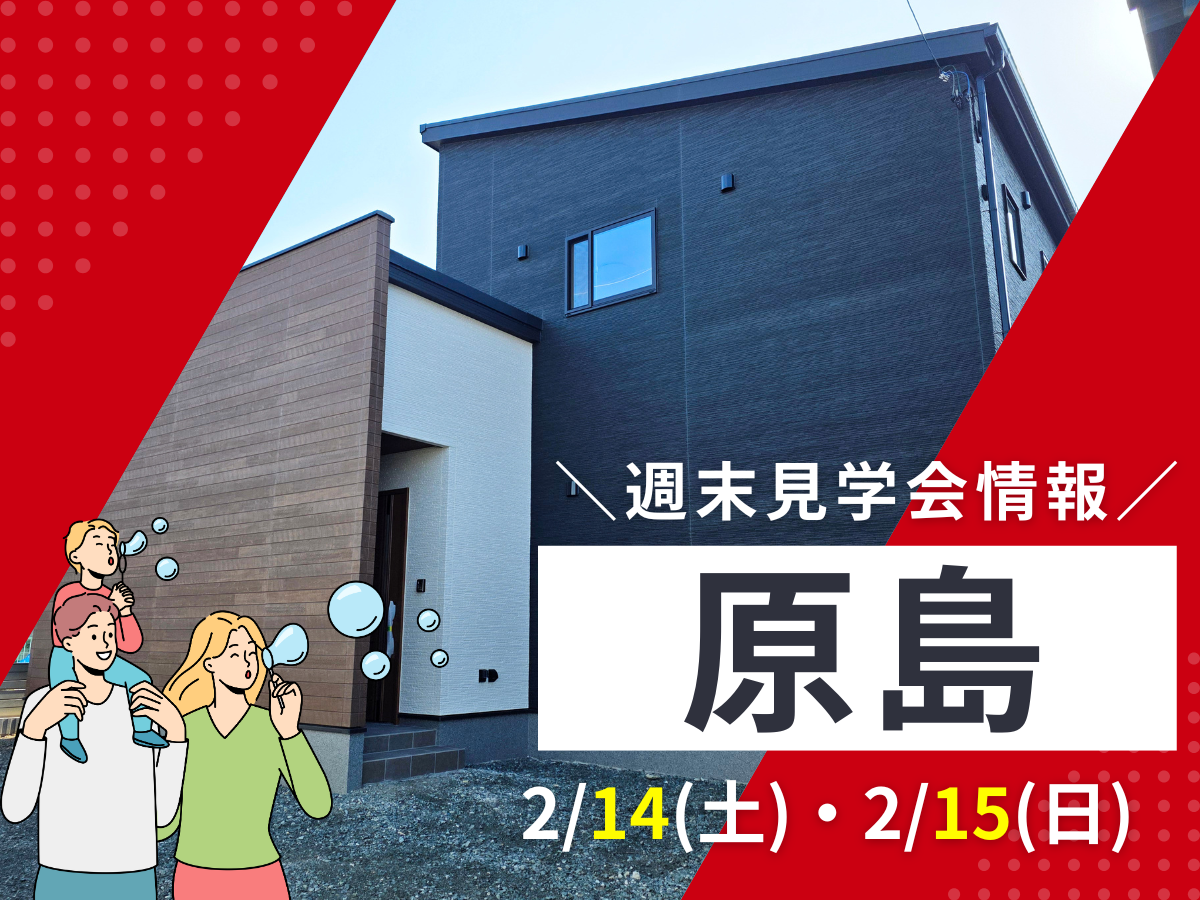 ピックアップ特集