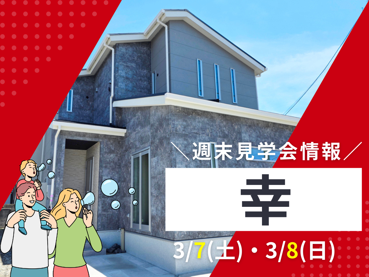 ピックアップ特集